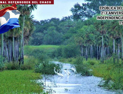 Tercera Bandera Histórica del Perú AFSDP